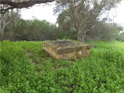 Rustico/Casale in vendita a Noto - foto 4