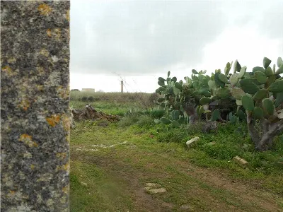 Rustico/Casale in vendita a Noto - foto 8