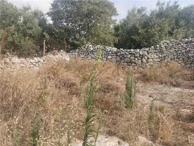 Rustico/Casale in vendita a Noto - foto 7
