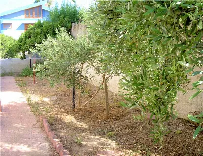 Villa in vendita a Noto - foto 7