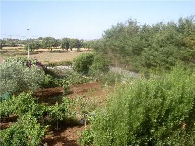 Villa in vendita a Modica - foto 9