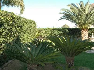 Villa in vendita a Noto - foto 4