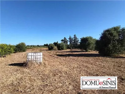 Villa in vendita a Nurachi - foto 6