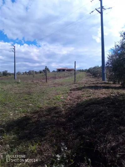 Rustico/Casale in vendita a San Giovanni I... - foto 7