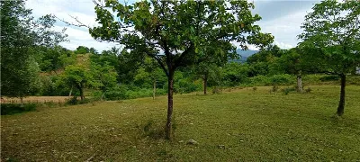 Villa in vendita a Pontecorvo - foto 7