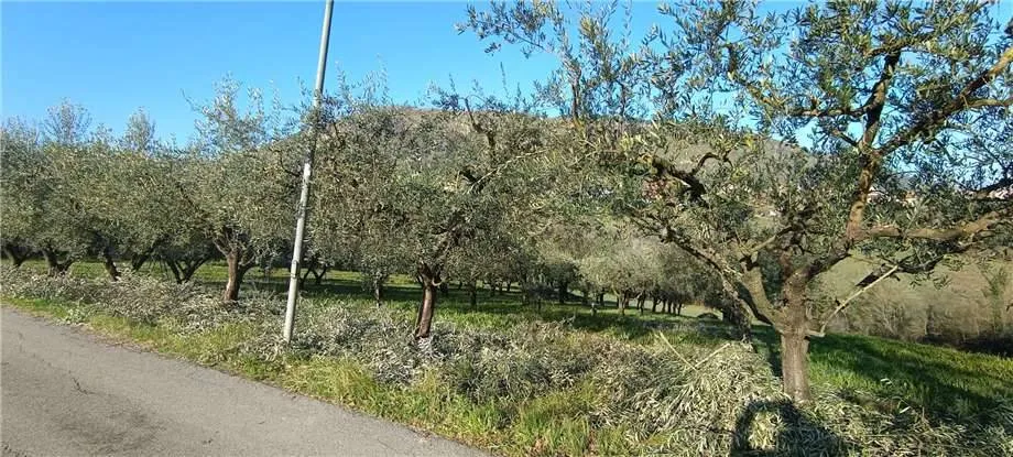 Rustico/Casale in vendita a San Giovanni Incarico - foto 4