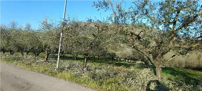 Rustico/Casale in vendita a San Giovanni I... - foto 4
