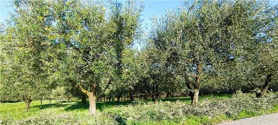 Rustico/Casale in vendita a San Giovanni I... - foto 5