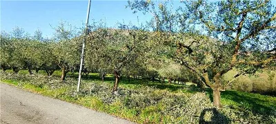 Rustico/Casale in vendita a San Giovanni I... - foto 7