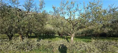 Rustico/Casale in vendita a San Giovanni I... - foto 8