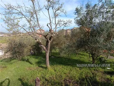 Villa in vendita a Pontecorvo - foto 10