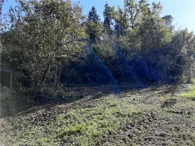 Rustico/Casale in vendita a Pontecorvo - foto 7