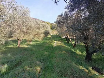 Rustico/Casale in vendita a Pontecorvo - foto 6