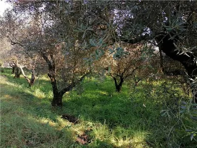 Rustico/Casale in vendita a Pontecorvo - foto 7