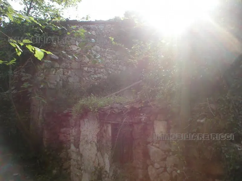 Rustico/Casale in vendita a Pastena - foto 1