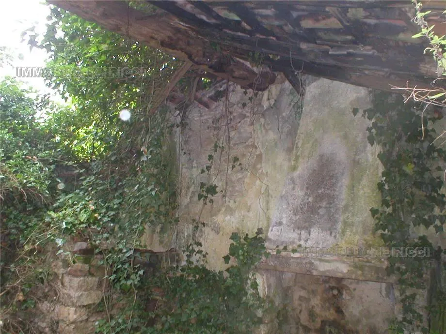 Rustico/Casale in vendita a Pastena - foto 3
