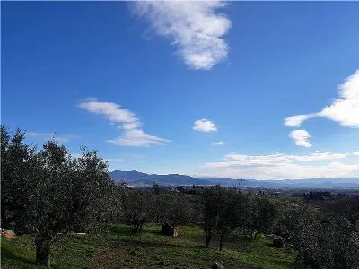 Rustico/Casale in vendita a Carmignano - foto 8