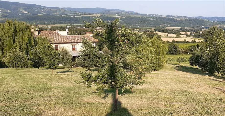 Rustico/Casale in vendita a Marsciano - foto 5