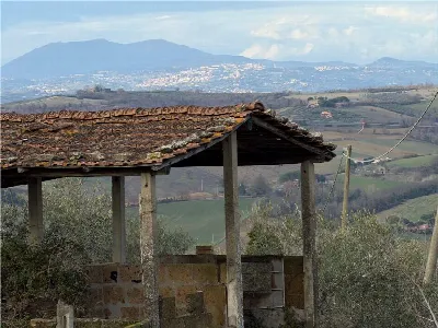 Rustico/Casale in vendita a Collazzone - foto 4