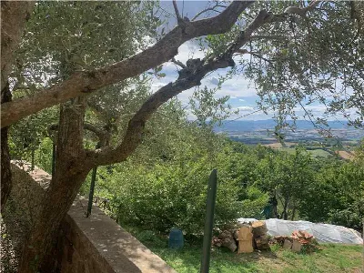Villa in vendita a Collazzone - foto 10