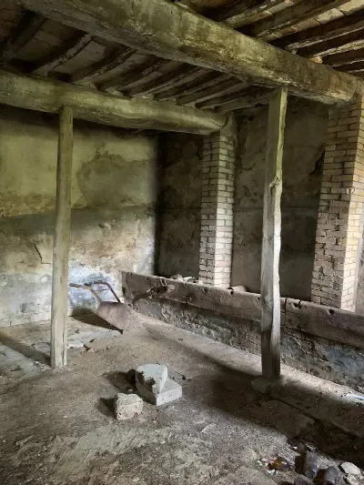 Rustico/Casale in vendita a Gualdo Cattane... - foto 2