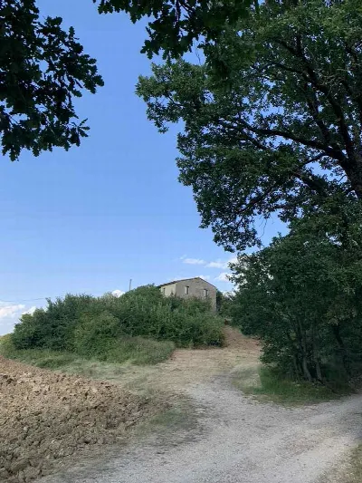 Rustico/Casale in vendita a Gualdo Cattane... - foto 3