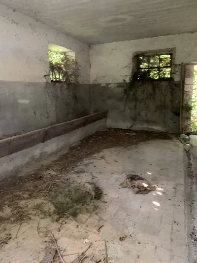 Rustico/Casale in vendita a Gualdo Cattane... - foto 5