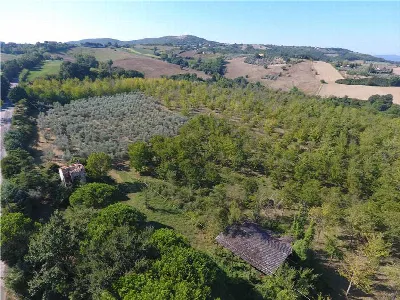 Rustico/Casale in vendita a Gualdo Cattane... - foto 10