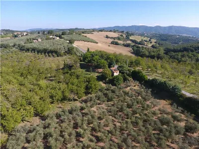 Rustico/Casale in vendita a Gualdo Cattane... - foto 4