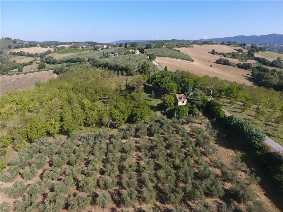 Rustico/Casale in vendita a Gualdo Cattaneo - foto 5
