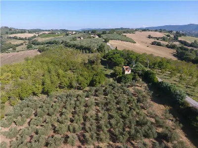Rustico/Casale in vendita a Gualdo Cattane... - foto 5