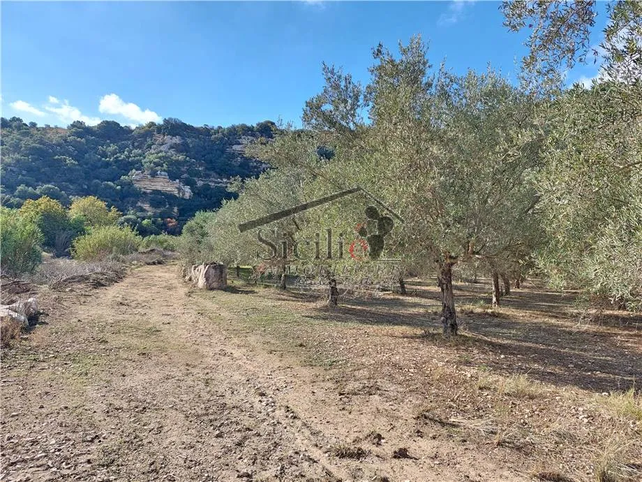 Rustico/Casale in vendita a Ragusa, Puntarazzi, Pozzillo, Donnafugata, Punta Braccetto - foto 2
