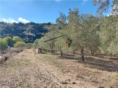 Rustico/Casale in vendita a Ragusa, Puntar... - foto 2