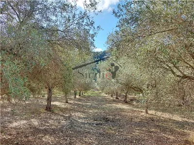 Rustico/Casale in vendita a Ragusa, Puntar... - foto 7