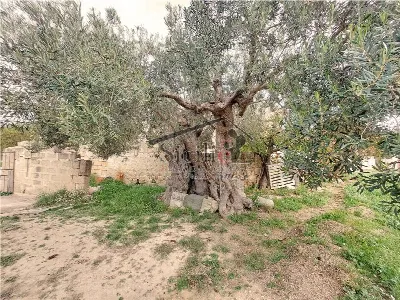 Rustico/Casale in vendita a Scicli - foto 9