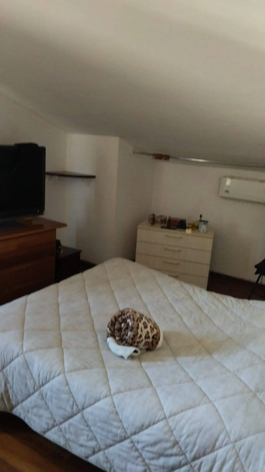 Villa in vendita a Sulmona - foto 5