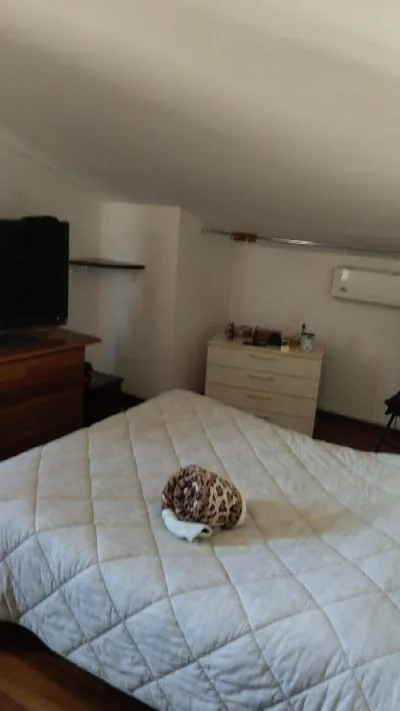 Villa in vendita a Sulmona - foto 5