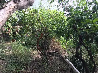 Villa in vendita a Santa Venerina - foto 10