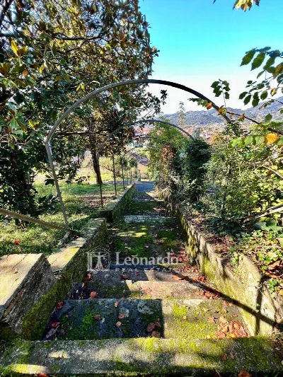 Villa in vendita a Camaiore - foto 2