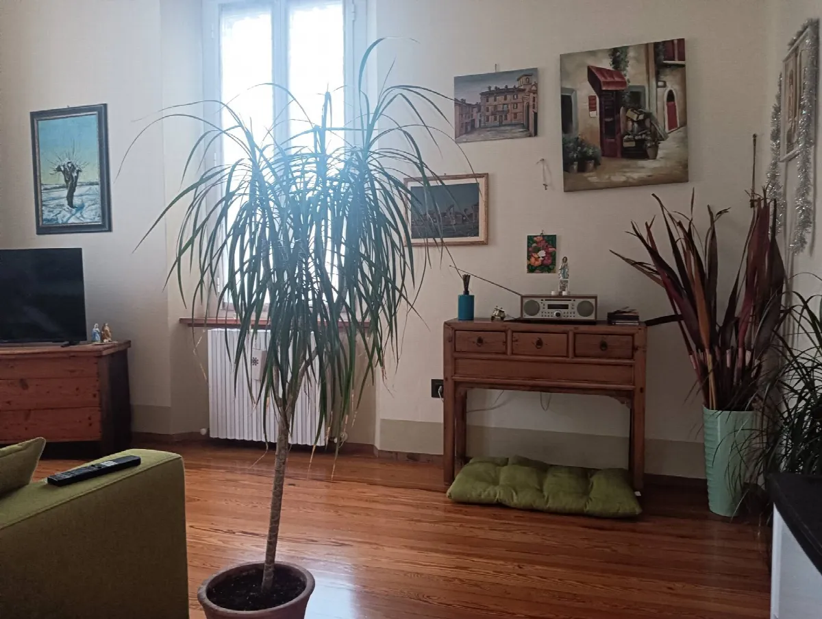 Appartamento in vendita a Fidenza - foto 5