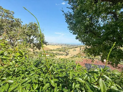 Appartamento in vendita a Fermo - foto 5