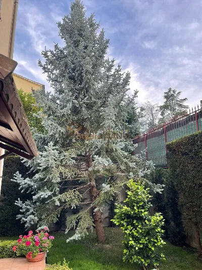 Appartamento in vendita a Marano Principat... - foto 3