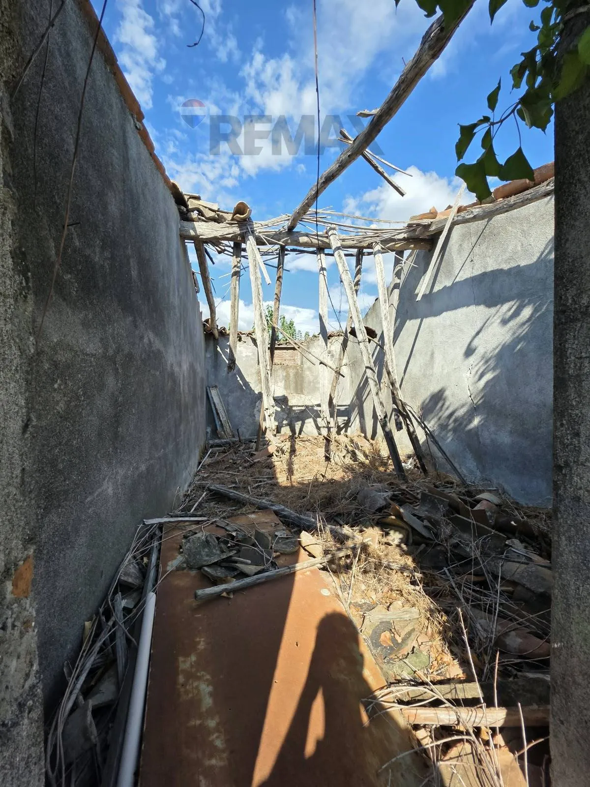 Rustico/Casale in vendita a Giarre - foto 4