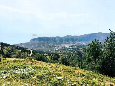 Rustico/Casale in vendita a Mattinata - foto 5