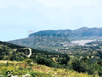 Rustico/Casale in vendita a Mattinata - foto 6