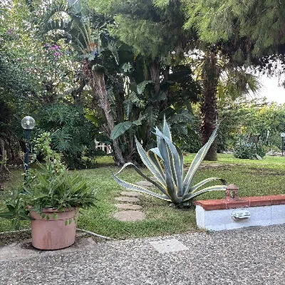 Villa in vendita a Siracusa, Arenella, ogn... - foto 3
