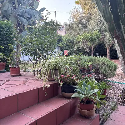 Villa in vendita a Siracusa, Arenella, ogn... - foto 6