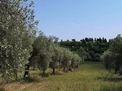 Villa in vendita a Corropoli - foto 8
