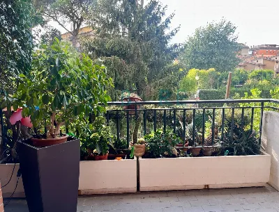 Appartamento in vendita a Roma, Olgiata, g... - foto 7
