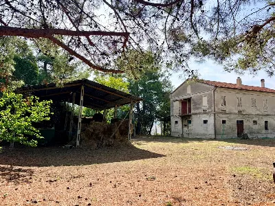Rustico/Casale in vendita a Morro d'Alba - foto 3